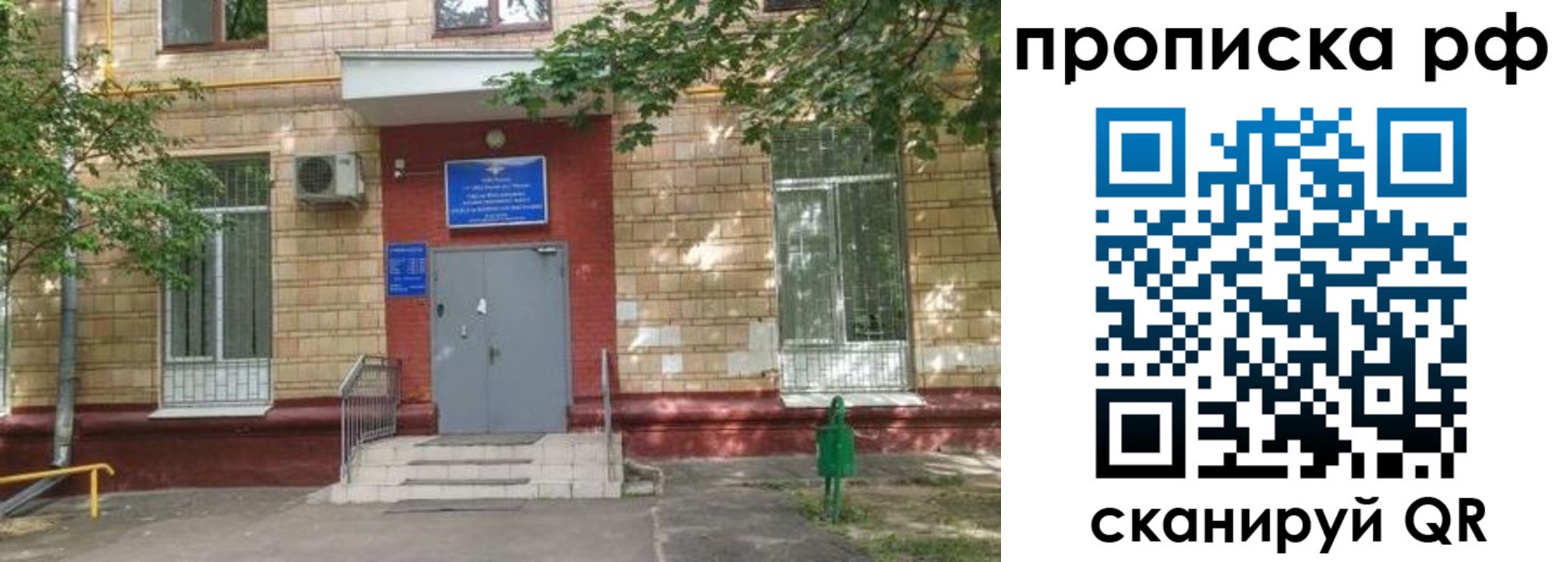 прописка поиск в Бердске
